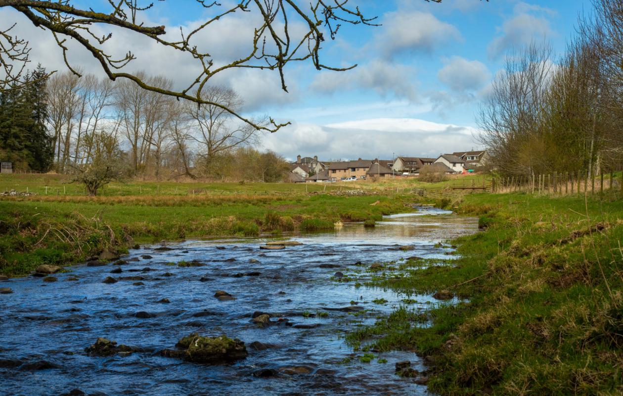 River Leader in Lauder