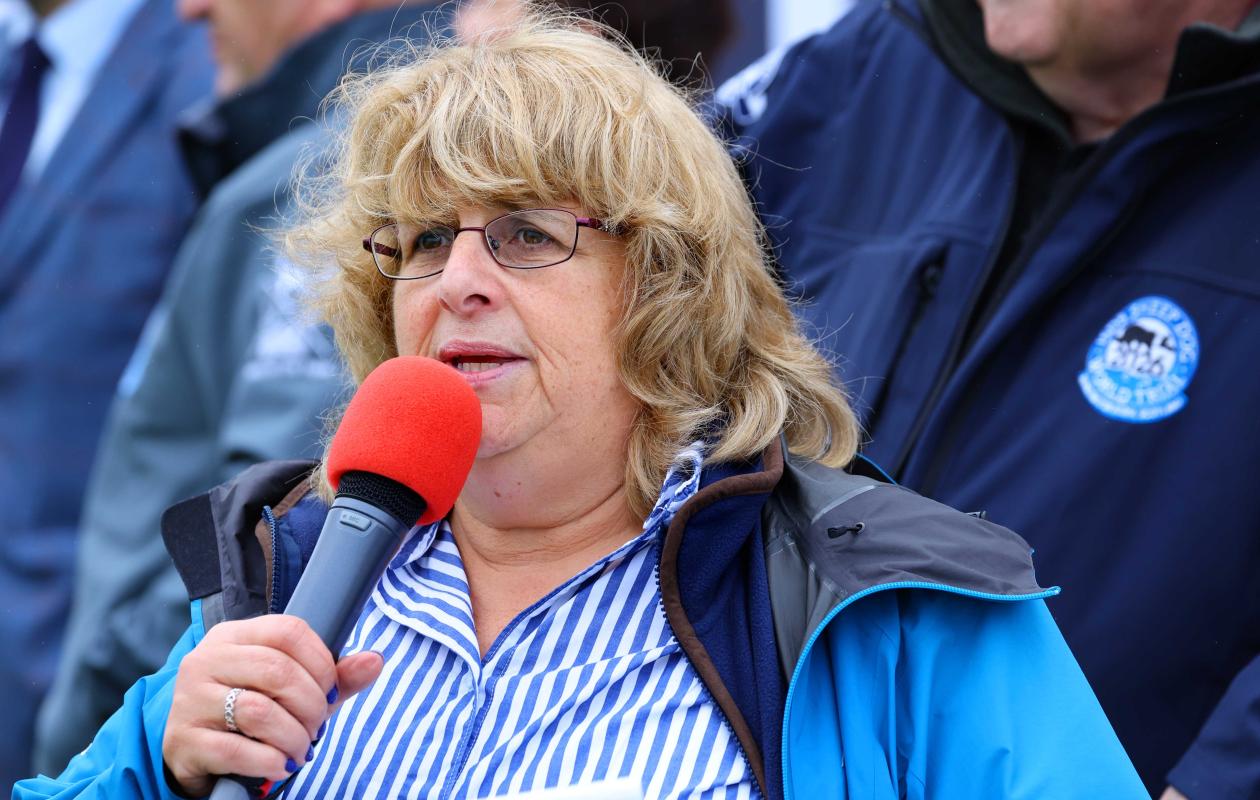 Fiona McMillan, ISDS Scottish President
