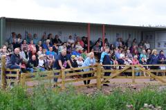 Dalscone Grandstand