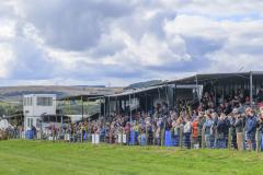 Crowds watch the opening ceremony